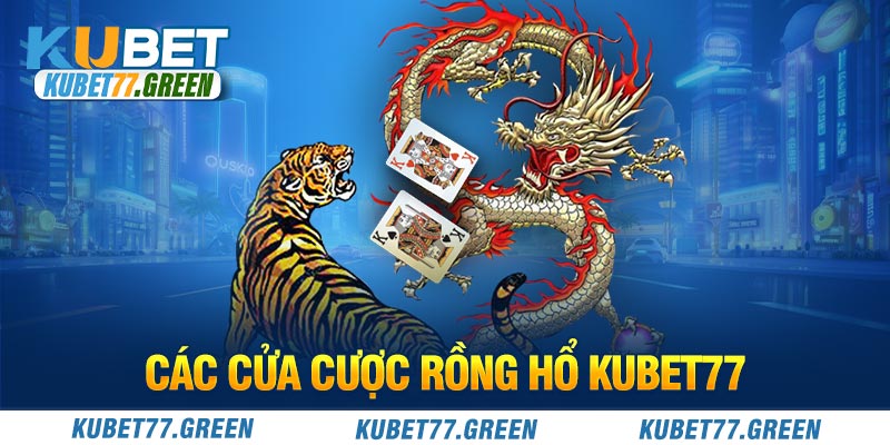 Các loại cược khi chơi Rồng Hổ tại nhà cái 