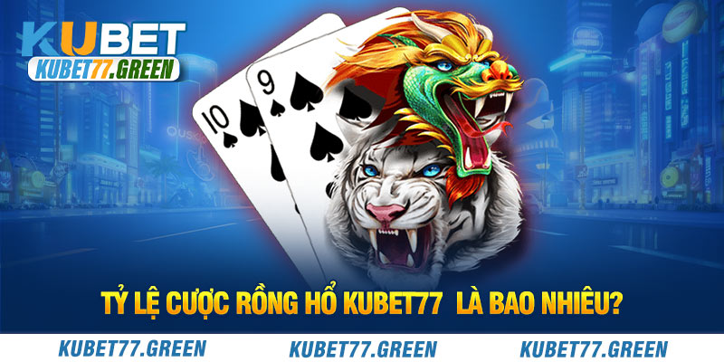 Mẹo khi tham gia Rồng Hổ KUBET77